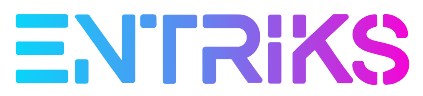 ENTRIKS Logo